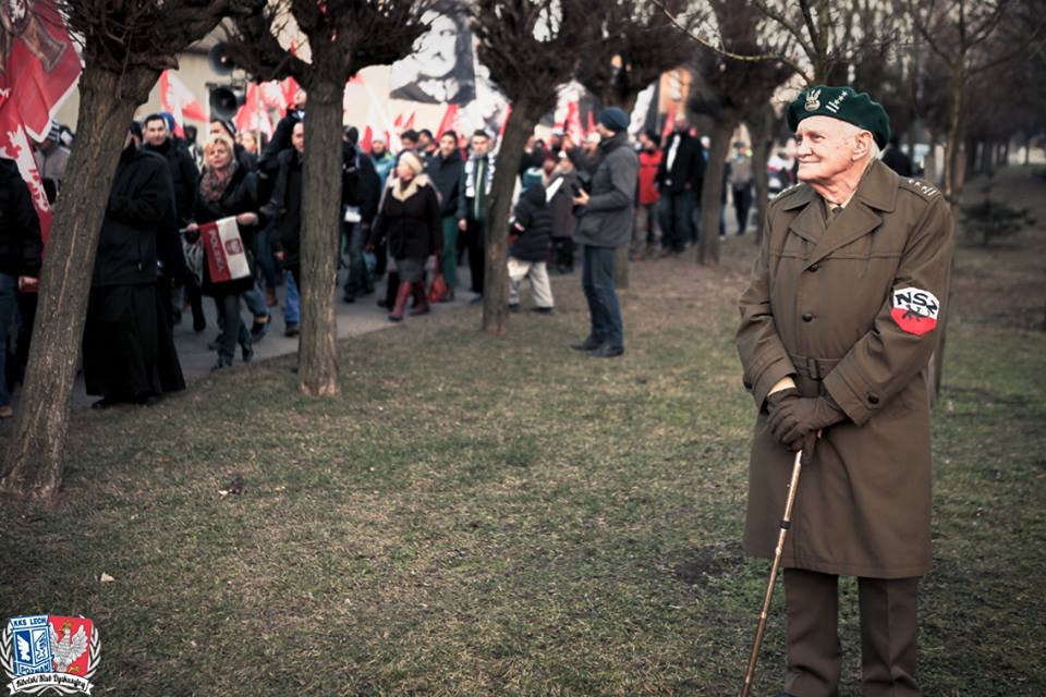 Marsz Zwycięstwa Powstania Wielkopolskiego 2015 7